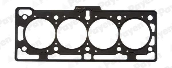 PAYEN Φλάντζα, κεφαλή κυλίνδρου AH5170 Φλάντζες κεφαλής PAYEN DUSTER AH5170 φθηνά