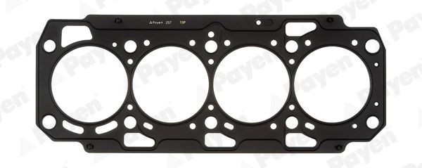 PAYEN Gasket, cylinder head AH7380 PAYEN AH7380 FIAT Ducato III Platform / Chassis (250, 290) cylinder head gasket replacement