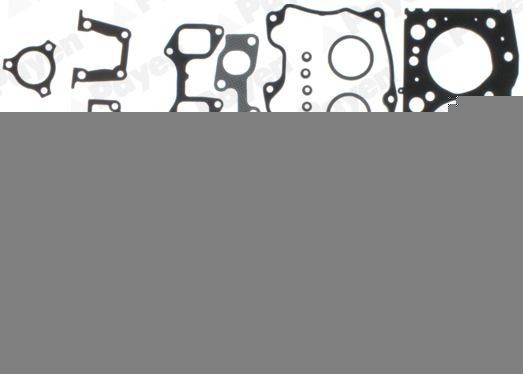 PAYEN Tihendikomplekt, silindripea DW801 DW801 Tihendikomplekt silindripea TOYOTA URBAN CRUISER PAYEN