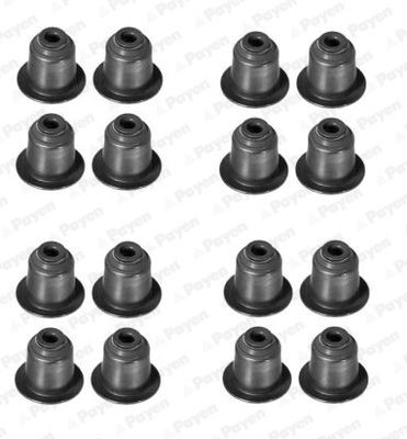 Seal Set, valve stem PAYEN HR5045 PAYEN HR5045 LAND ROVER DISCOVERY 2002 valve stem seals price