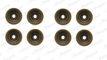 Packningssats, ventiler PAYEN HR5051 PAYEN HR5051: Ventiltätning Land Rover FREELANDER 1999
