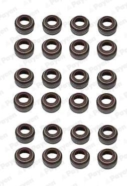 PAYEN Kit guarnizioni, Stelo valvola HR5055 HR5055 Paraolio valvole PAYEN MERCEDES-BENZ /8 costo