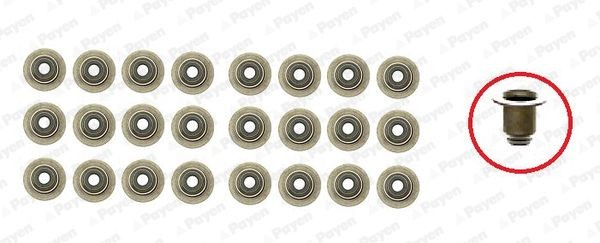 PAYEN Σετ στεγανοπ., στέλεχος βαλβίδας HR5111 PAYEN HR5111 Σετ στεγανοπ., στέλεχος βαλβίδας