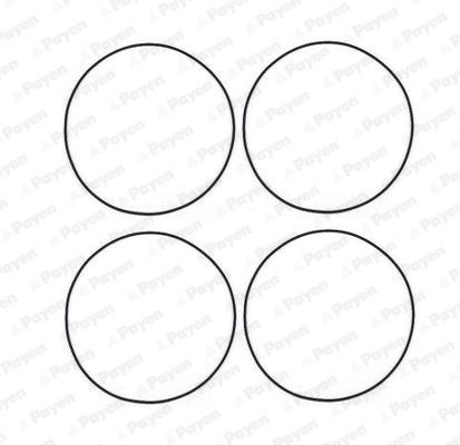 PAYEN O-Ring Set, cylinder sleeve HR566 MG PAYEN crankcase gasket set HR566