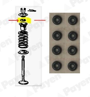 PAYEN Pakningssett, ventilstamme HR619 pris Ventiltetninger AUSTIN HR619 PAYEN