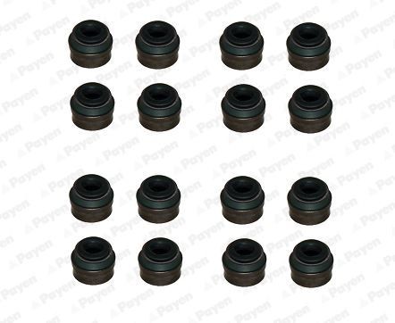 PAYEN Jeu de joints d'étanchéité, tige de soupape HR814 PAYEN HR814 Bague d'étanchéité tige de soupape Fiat Punto mk3 199 prix