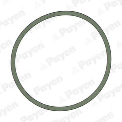 PAYEN Tihend, sisselaskekollektor JD5228 PAYEN JD5228 Sisselaskekollektori tihend Audi A4 B9 Avant hind
