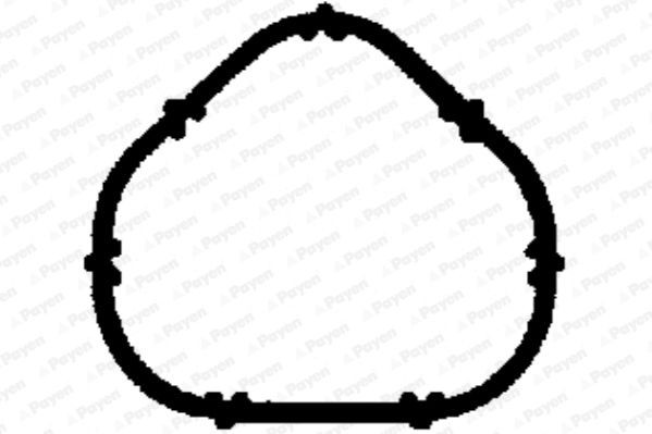 PAYEN Inlaatspruitstuk pakking JD5885 Inlaatspruitstuk pakking PAYEN 370 Z JD5885 goedkoop