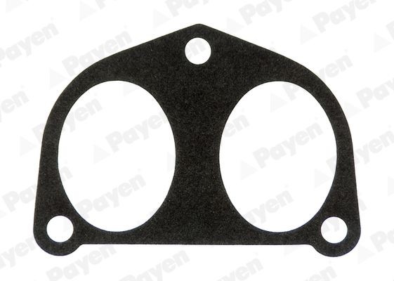 PAYEN Guarnizione, Collettore aspirazione JD6023 PAYEN JD6023 Guarnizione, Collettore aspirazione FIAT Scudo I Van (220) 2.0 JTD 16V 109 CV 1999