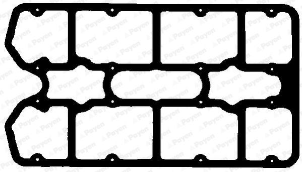 PAYEN Φλάντζα, κάλυμμα κυλινδροκεφαλής JN996 PAYEN JN996 Φλάντζα καπακιου βαλβίδων RENAULT MEGANE γνήσια
