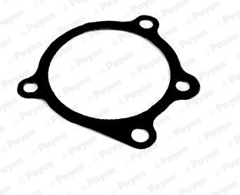 PAYEN Dichtung, Wasserpumpe KA289 KA289 PAYEN Dichtung Wasserpumpe Tabelle