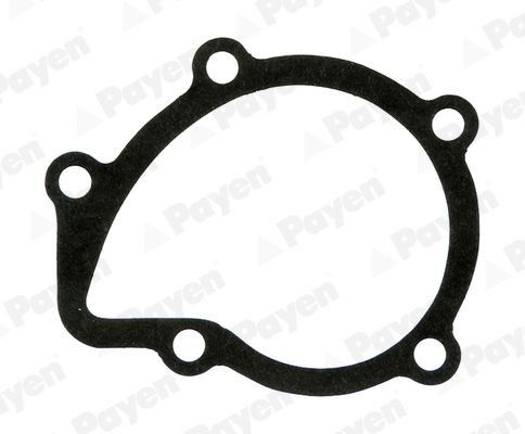 PAYEN Dichtung, Wasserpumpe KA611 Kühlwasserabdichtung PAYEN Peugeot J5 KA611
