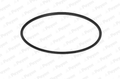 PAYEN Keerring, oliepomp KH007 Olie-pomp PAYEN COROLLA KH007 goedkoop