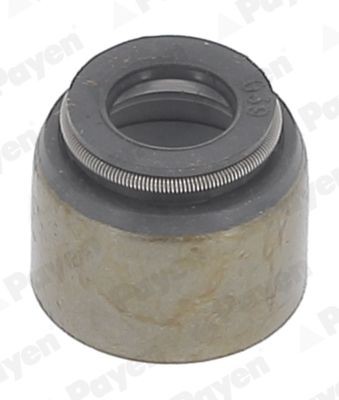 PAYEN Olietyve KJ211 Olietyve PAYEN NIRO KJ211 billig