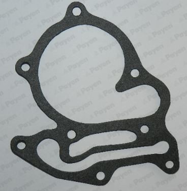 PAYEN Tesnenie vodného čerpadla KL478 Tesnenie PAYEN Ford TOURNEO CUSTOM KL478