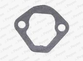 PAYEN Pakning, brændstofpumpe KS830 KS830 Brændstofpumpe SKODA ROOMSTER PAYEN