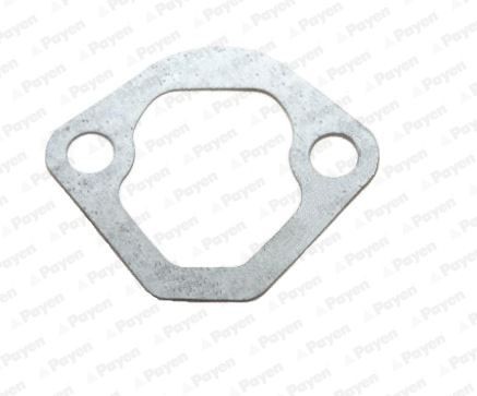 PAYEN Gasket, fuel pump KT446 SEAT IBIZA PAYEN gasket, fuel pump KT446