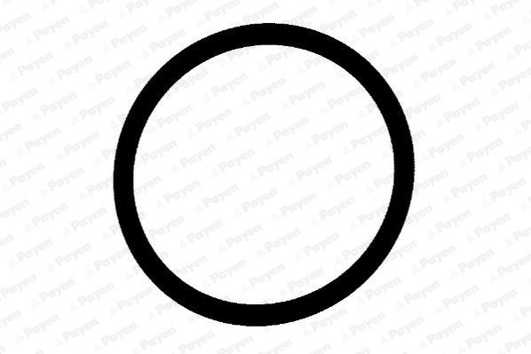 PAYEN Guarnizione, Collettore aspirazione LA5204 LA5204 costo Guarnizione collettore aspirazione Volkswagen POLO PAYEN