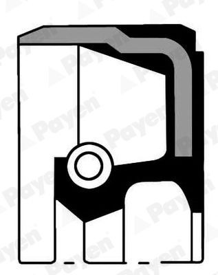 Retentor, cambota PAYEN NA5104 PAYEN NA5104 Retentor de virabrequim LAND ROVER RANGE ROVER 2008