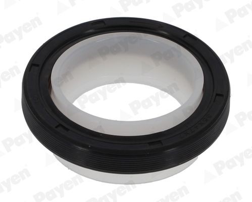 PAYEN Retentor, cambota NA5255 NA5255 Retentor de virabrequim DACIA SOLENZA PAYEN