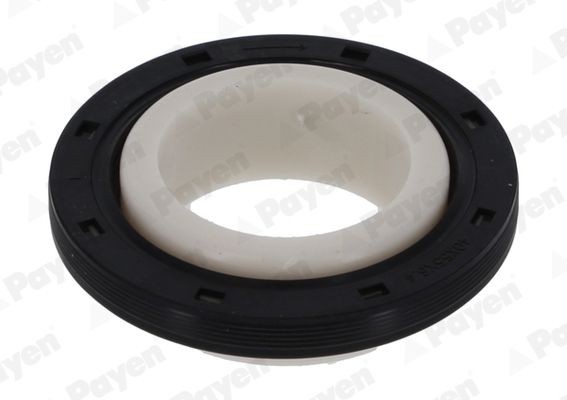 PAYEN Crankshaft seal NA5259 NA5259 PAYEN crankshaft seal for MITSUBISHI PAJERO / SHOGUN SPORT