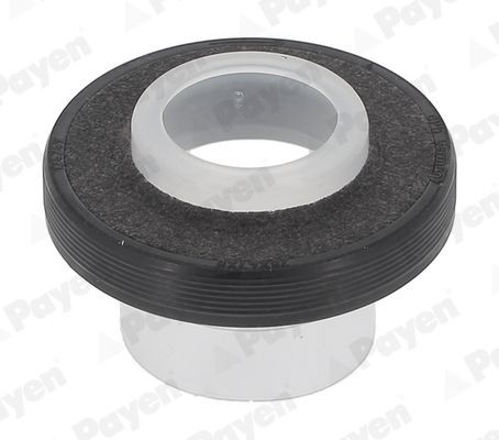 PAYEN Akseltetningsring, kamaksel NA5261 Tetningsring kamaksel PAYEN 205 NA5261 billige