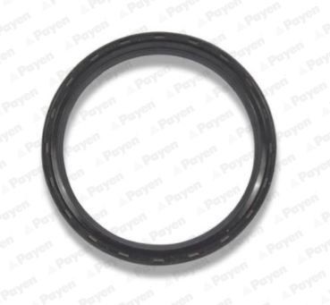 Krukaskeerring PAYEN NA5298 PAYEN NA5298: Krukaskeerring BMW X3 2018