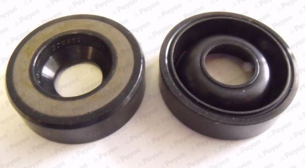 PAYEN Pakning, brændstofpumpe NB077 Pakning, brændstofpumpe PAYEN LEON NB077 billig