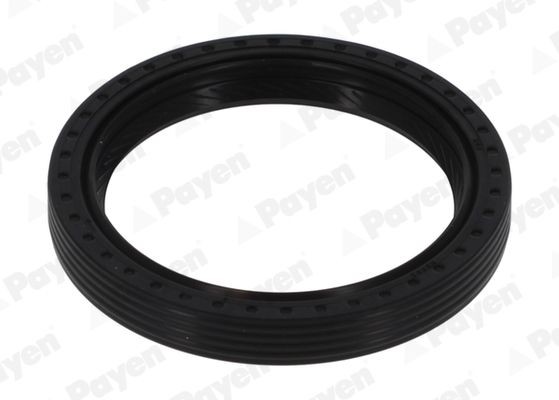 PAYEN Retentor, árvore de cames NB958 PAYEN NB958 Retentor da árvore de cames Ford Focus DNW baratos