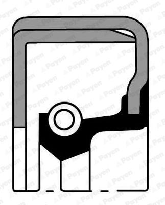 PAYEN Shaft Seal, manual transmission NF096 NF096 PAYEN gearbox gaskets FIAT SEDICI
