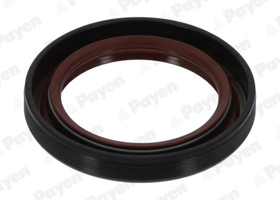 PAYEN Retentor, árvore de cames NF817 PAYEN NF817 Retentor da árvore de cames Hyundai Sonata NF a um preço acessível