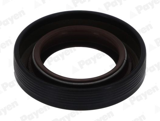 PAYEN Retentor, diferencial NF825 PAYEN NF825 Retentor, diferencial Fiat Scudo 270 a um preço acessível