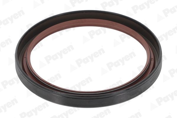 PAYEN Simring, veivaksel NF844 Simring veivaksel PAYEN Peugeot 5008 NF844