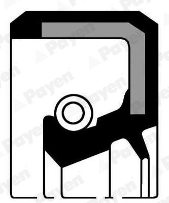 PAYEN Simring, veivaksel NJ268 PAYEN NJ268 Veivaksel tetningsring Daihatsu Charade G200 pris