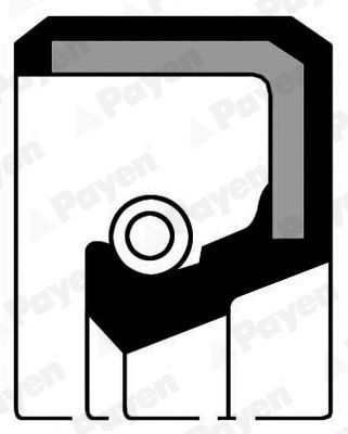 PAYEN Keerring, versnelling NJ399 PAYEN NJ399 originele Versnellingsbak pakkingset Cabstar (F24M, F24W) kosten