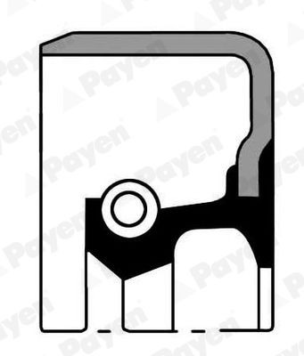 PAYEN Keerring, versnelling NJ416 Mercedes-Benz S-Klasse Versnellingsbak pakkingset PAYEN NJ416