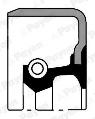 PAYEN Keerring, wielnaaf NJ996 PAYEN NJ996 originele Keerring, wielnaaf ALFA ROMEO MITO prijs
