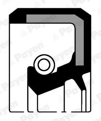 PAYEN Krukaskeerring NK106 PAYEN NK106 Krukaskeerring Nissan Pickup D22 goedkoop