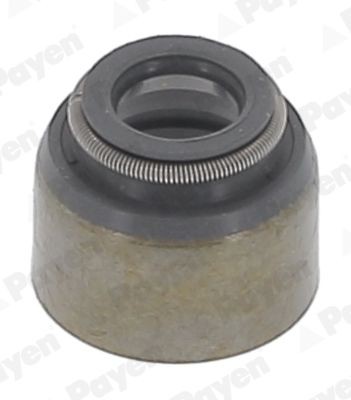 PAYEN Paraolio valvole PA079 PAYEN PA079 Paraolio valvole Terrano 2 originale prezzo