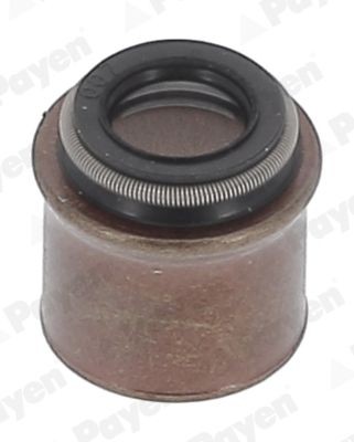 PAYEN Paraolio valvole PA378 PAYEN PA378 costo Paraolio valvole Nissan Terrano 2 originale