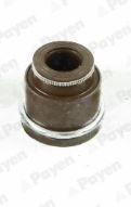 PAYEN Paraolio valvole PA933 PAYEN PA933 Gommini valvole Nissan Terrano II prezzo