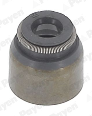 PAYEN Olietyve PB681 PAYEN PB681 Olietyve DACIA JOGGER originale