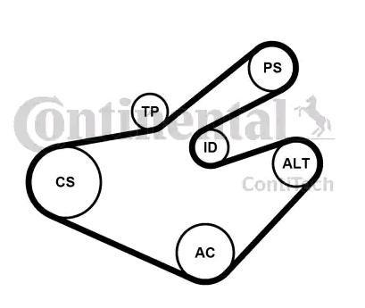 CONTITECH Juego de correas trapeciales poli V 7PK1795K1 Transmisión por correa / cadena Renault Master II Bus: Juego de correas trapeciales poli V CONTITECH 7PK1795K1