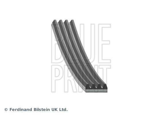 BLUE PRINT Kilerem AD04R648 Multirem BLUE PRINT Nissan ALTIMA AD04R648