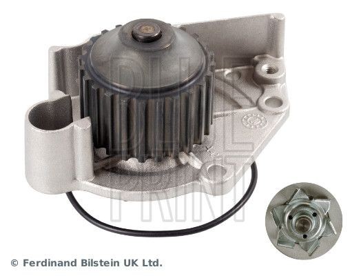 BLUE PRINT Vandpumpe ADJ139121 Vandpumpe BLUE PRINT DISCOVERY ADJ139121 billig