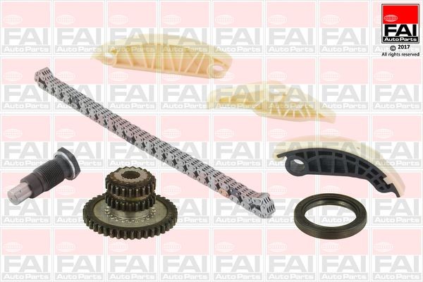 FAI AutoParts Kamkedjesats TCK177 FAI AutoParts TCK177 transmissionskedja Skoda Superb 3V3 pris