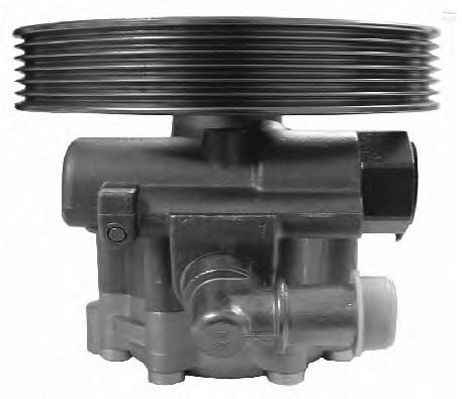 GENERAL RICAMBI Stūres pastiprinātāja sūknis PI0783 PI0783 GENERAL RICAMBI Stūres pastiprinātāja sūkņi Citroën lēti