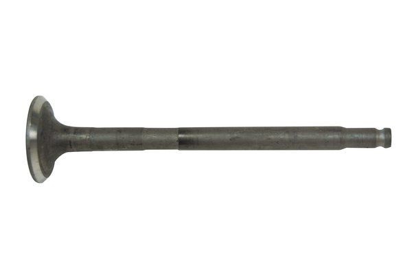 TRUCKTEC AUTOMOTIVE Exhaust valve 02.12.144 TRUCKTEC AUTOMOTIVE 02.12.144 Exhaust valve
