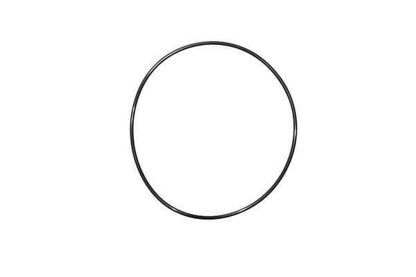 TRUCKTEC AUTOMOTIVE Τσιμούχα, πολλαπλή εισαγωγής 02.16.048 Τσιμουχα πολλαπλής εισαγωγής MERCEDES-BENZ TRUCKTEC AUTOMOTIVE 02.16.048