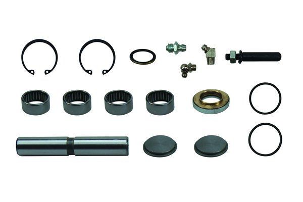 TRUCKTEC AUTOMOTIVE Kit riparazione, Perno fuso a snodo 02.43.291 TRUCKTEC AUTOMOTIVE 02.43.291 Perno del fuso a snodo Mercedes W220 prezzo